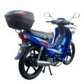 Spark SP110-3